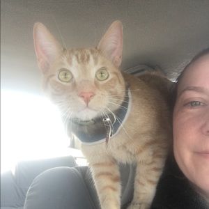 Meet your Posher, Amy